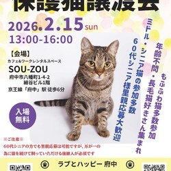 「2月15日ラブとハッピー府中 保護猫譲渡会参加猫」サムネイル3