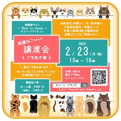 ネコトクラッセ譲渡会 サムネイル1