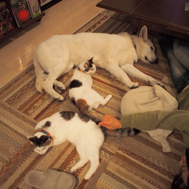 ああとアトリエのカバー写真