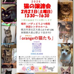 orangeの猫たちの譲渡会in大倉山