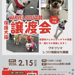 マーベラス協賛譲渡会 サムネイル1