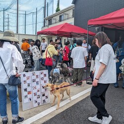 マーベラス協賛譲渡会 サムネイル2