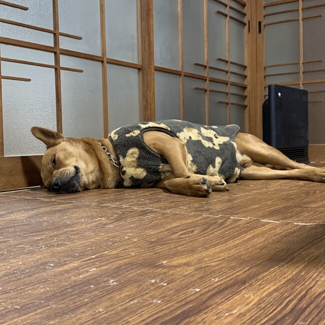 meg.19のカバー写真