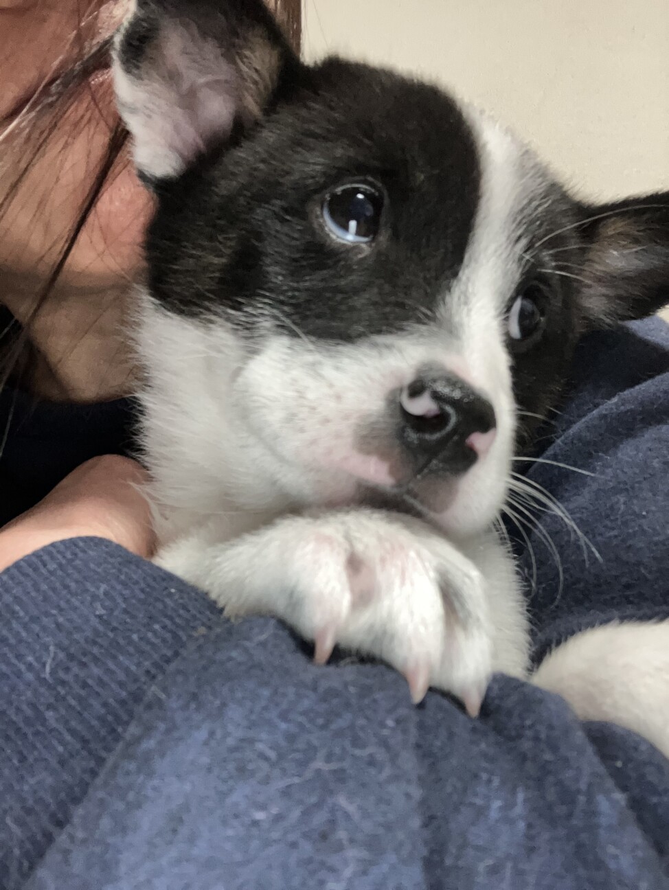 一旦募集停止します サムネイル3