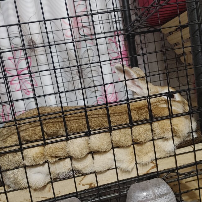 megupi23のカバー写真