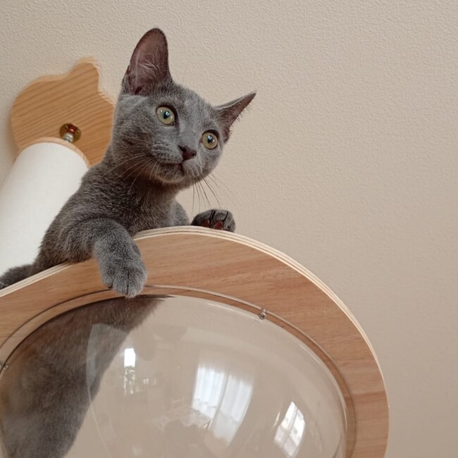 ヒライデのカバー写真