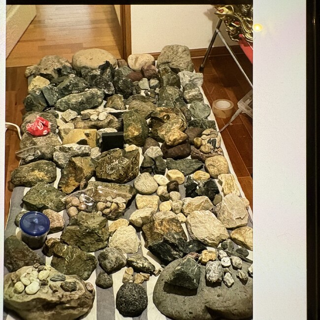 ピオーニのカバー写真