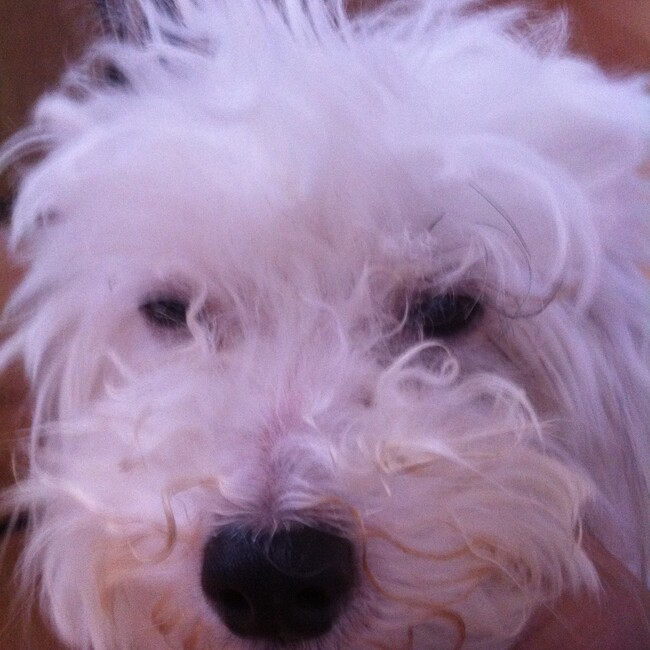 くま五郎ゆり太郎のカバー写真