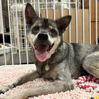 妹思いで優しくて、人が大好きな甘えん坊カムイくん