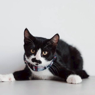 好奇心旺盛な男の子　イルタくん