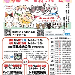 保護猫譲渡会@寝屋川市 サムネイル1