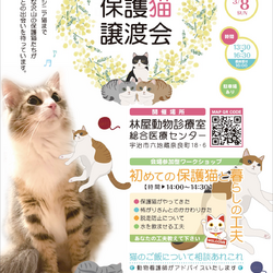 保護猫譲渡会@林屋動物診療室総合医療センター
