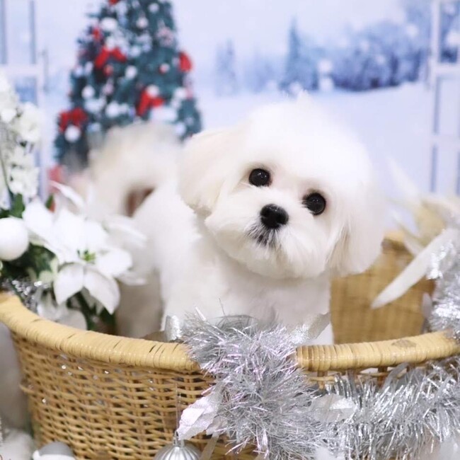 じつるんのカバー写真