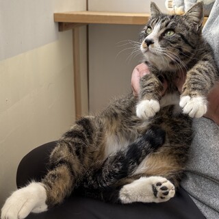 大きな赤ちゃんソックス君♡