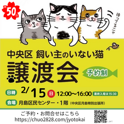 中央区飼い主のいない猫譲渡会
