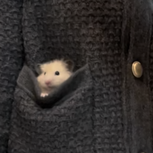 めぐさとのカバー写真