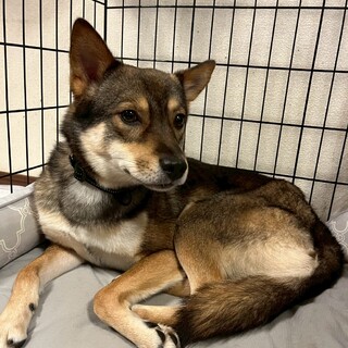 優しいお顔の男の子　ウル