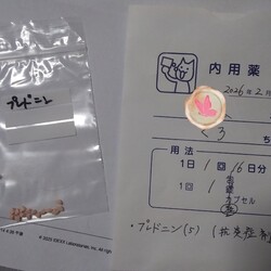 「黒ちゃん再診」サムネイル2