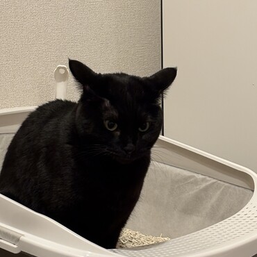 う◯ちの時の顔がかわいい