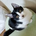 人に付いて歩く甘えん坊