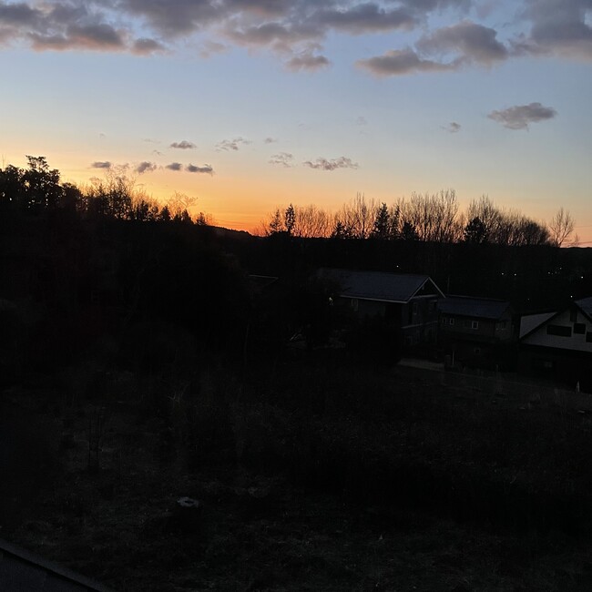 庭の石のカバー写真