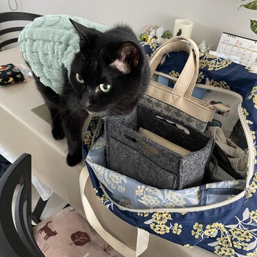 出勤前の荷物チェック