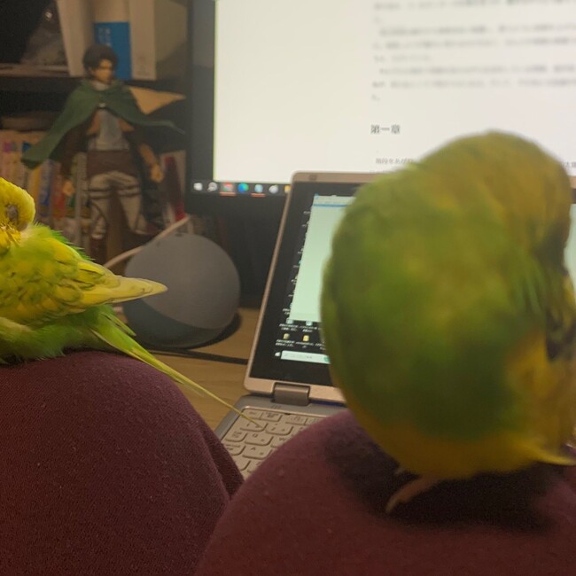 紫倉のカバー写真