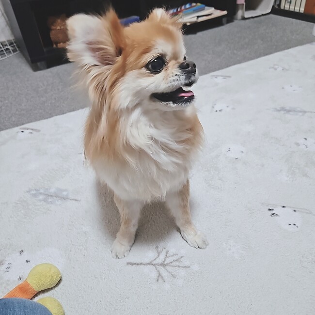 亜好のカバー写真