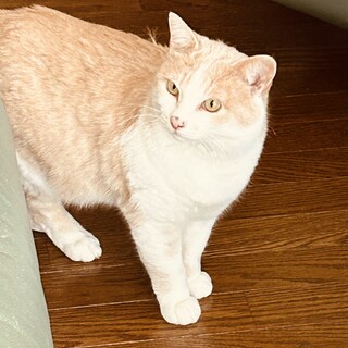 甘えん坊で食べるの大好きくうちゃん✨