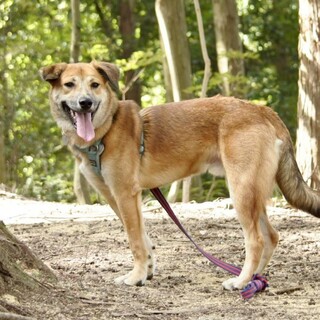 優しすぎる男【どら君】