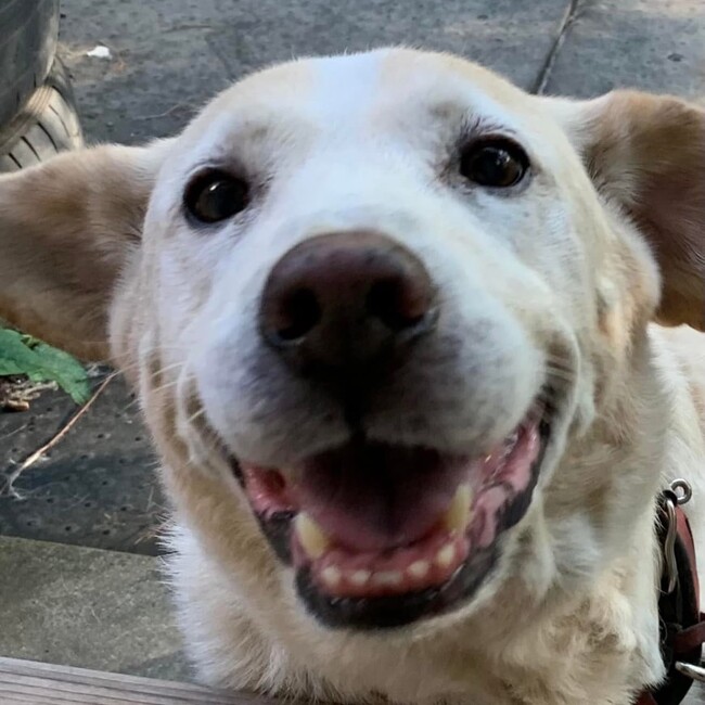 お気楽　翔のカバー写真