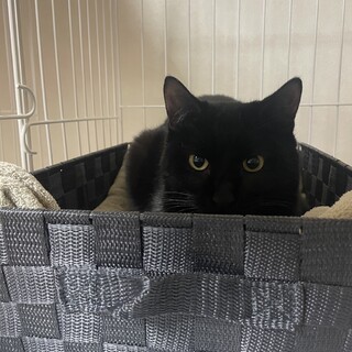 カッコいい♪アロくん