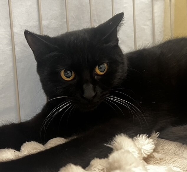 可愛い♪マオちゃん サムネイル2