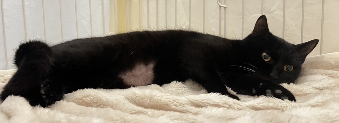 可愛い♪マオちゃん サムネイル3