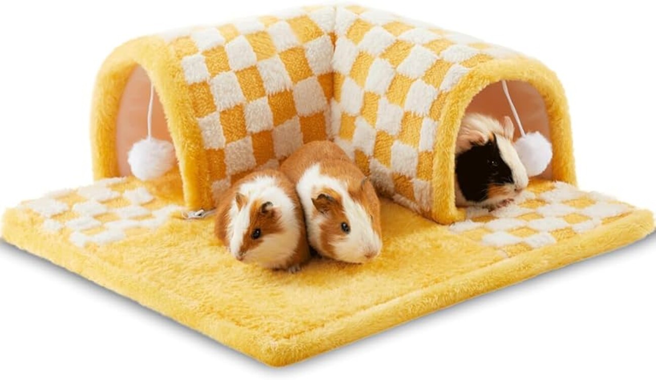 里親様見付かりました! サムネイル1