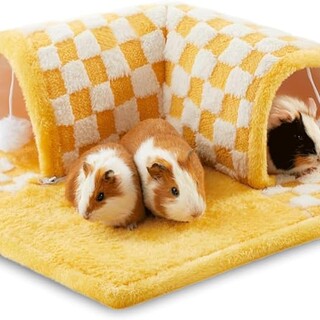 里親様見付かりました!