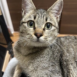 とても人懐こい女の子です