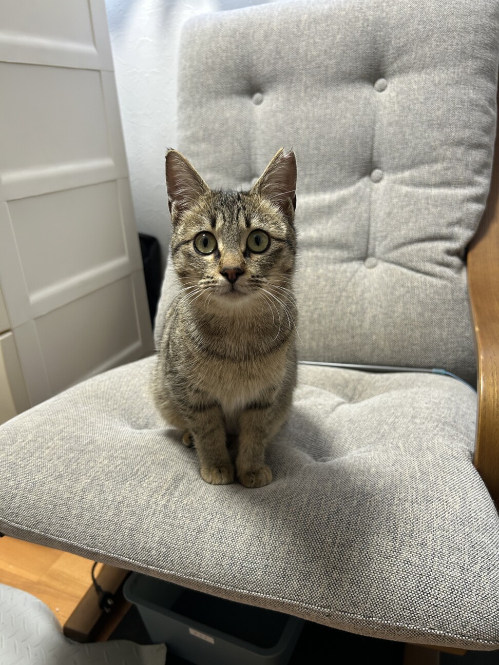 募集一時停止（交渉中） サムネイル2