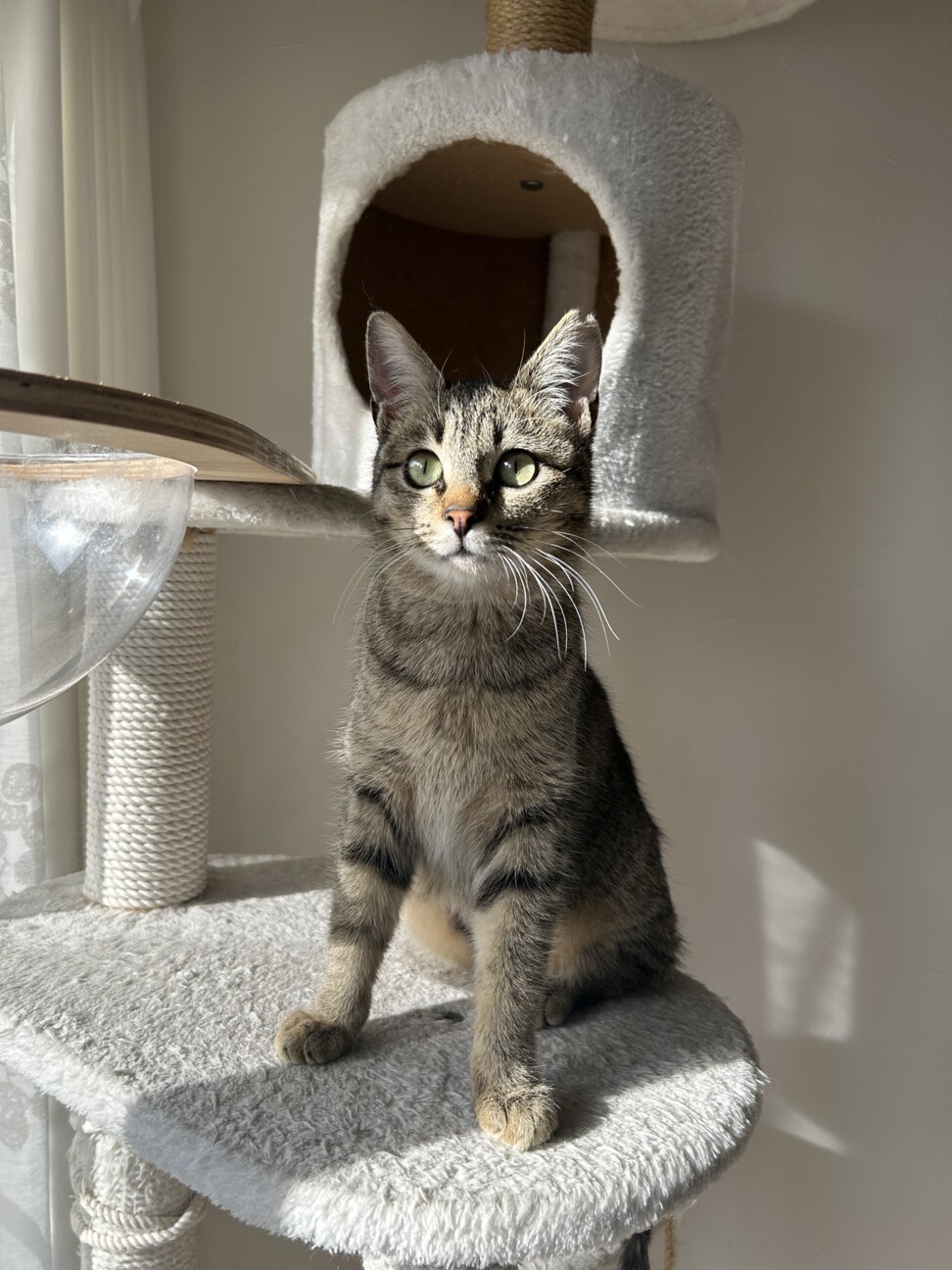 募集一時停止（交渉中） サムネイル3