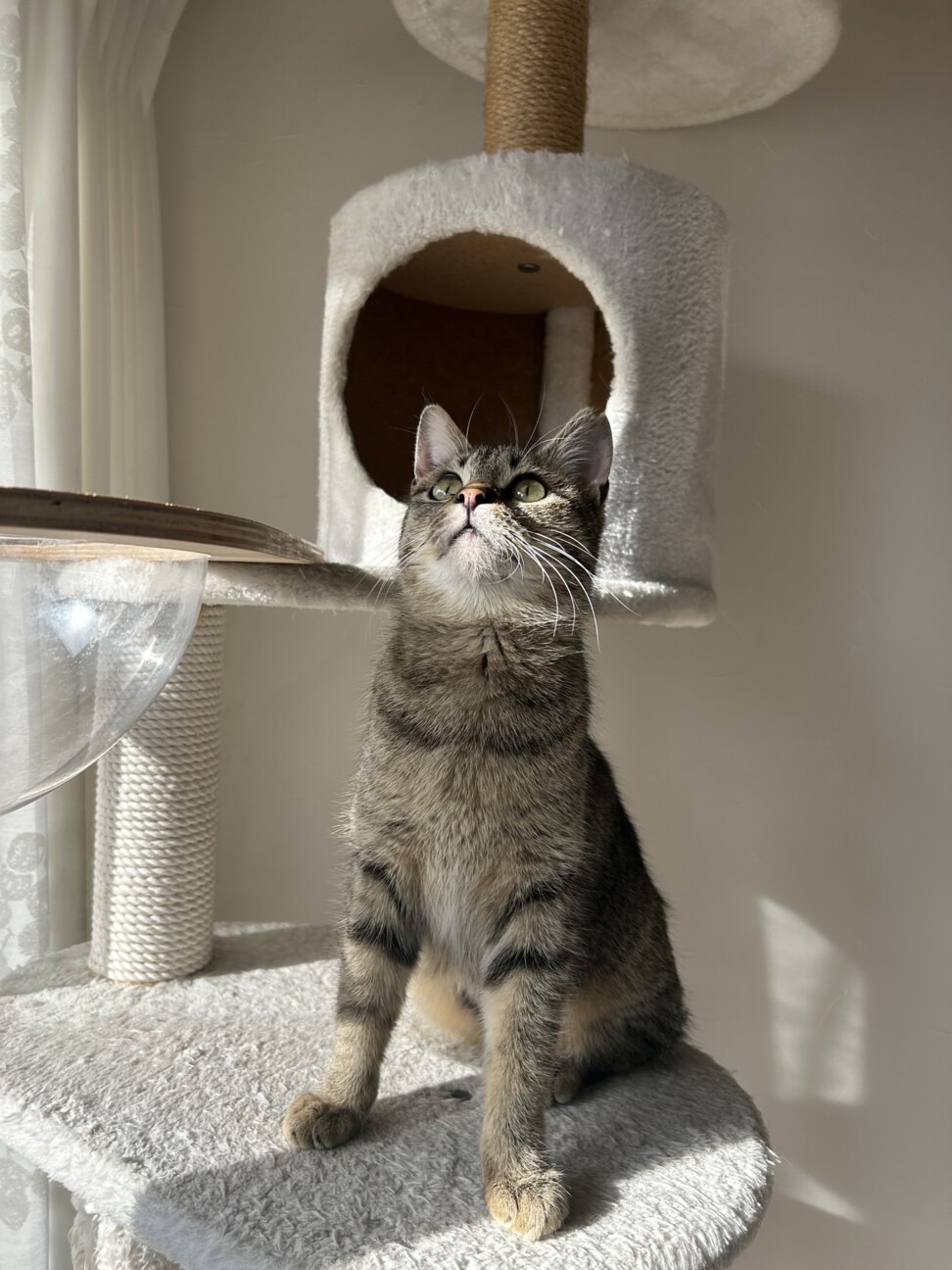 募集一時停止（交渉中） サムネイル4