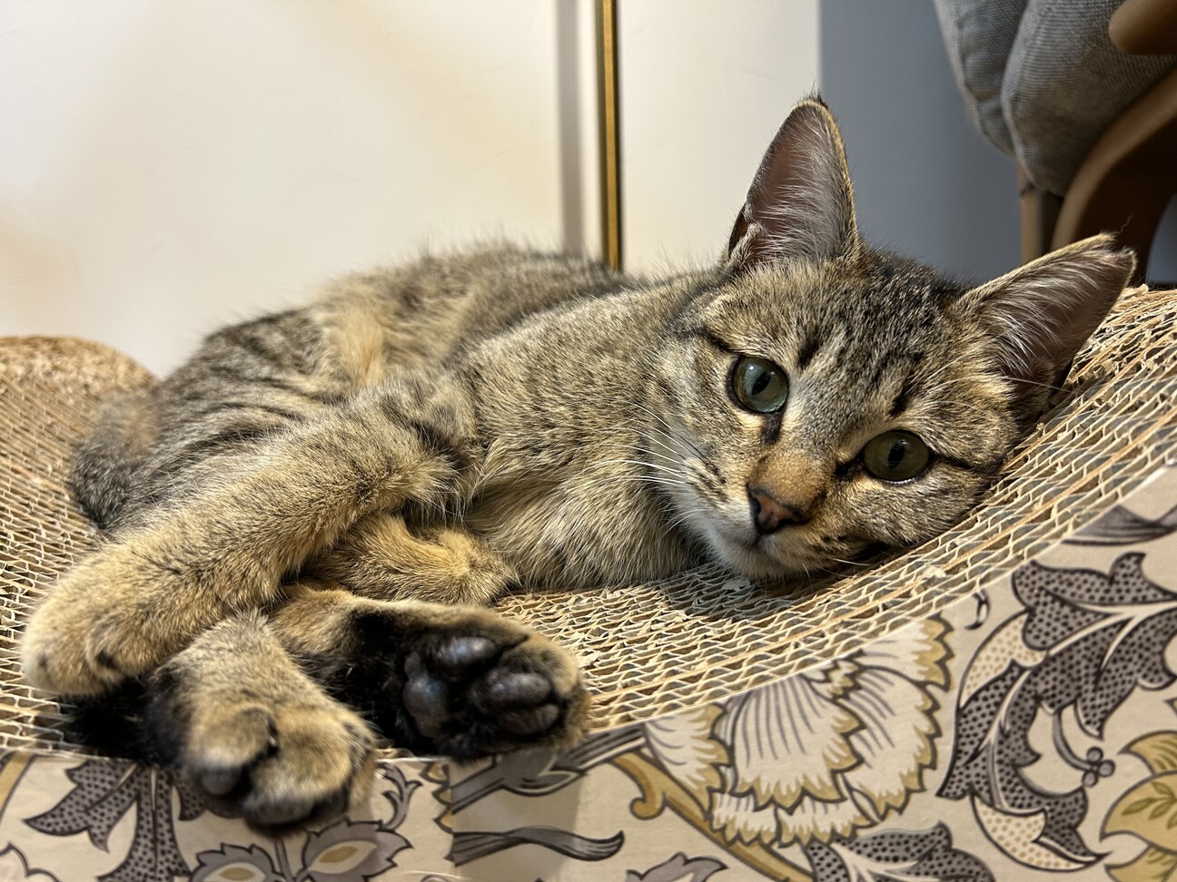 募集一時停止（交渉中） サムネイル5