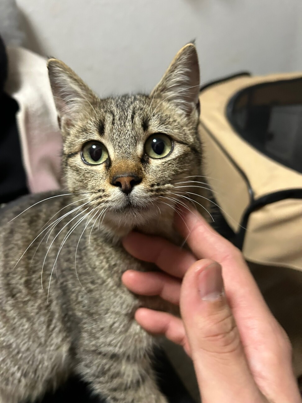 募集一時停止（交渉中） サムネイル6