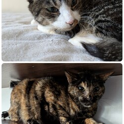 「あんずちゃん][もなか君]について」サムネイル1