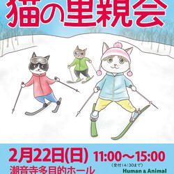 保護猫の里親会＠小田原 サムネイル1