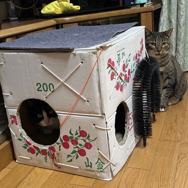 １週間前は雪だったのに…今日は18度(・・?)