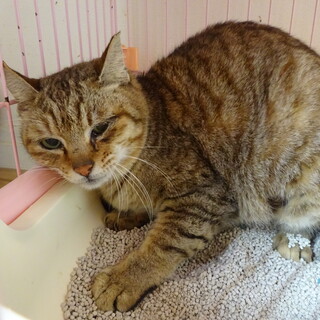 １９日寒い外へリリースする女の子です