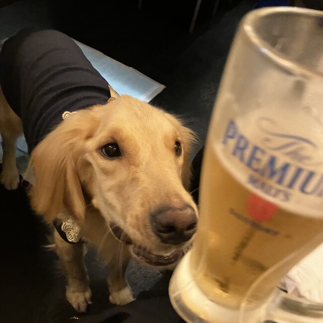 あくびしんのカバー写真