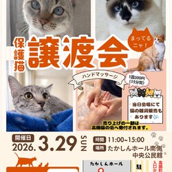 高鍋町保護猫譲渡会