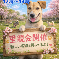 川島ドックラン里親会