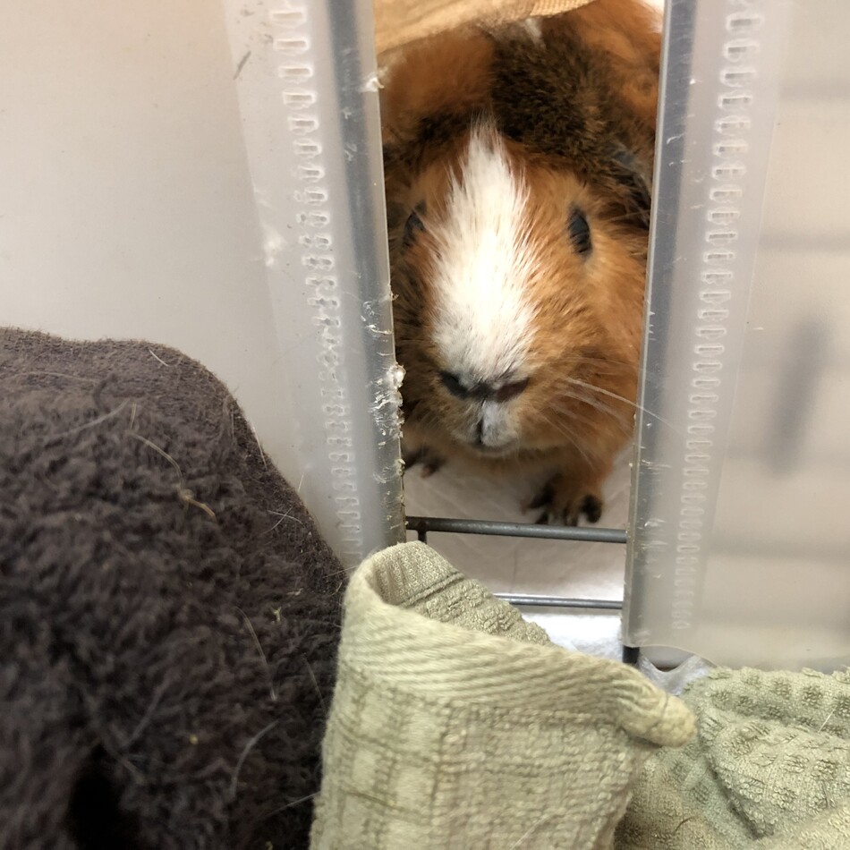 ぱんつくんのカバー写真